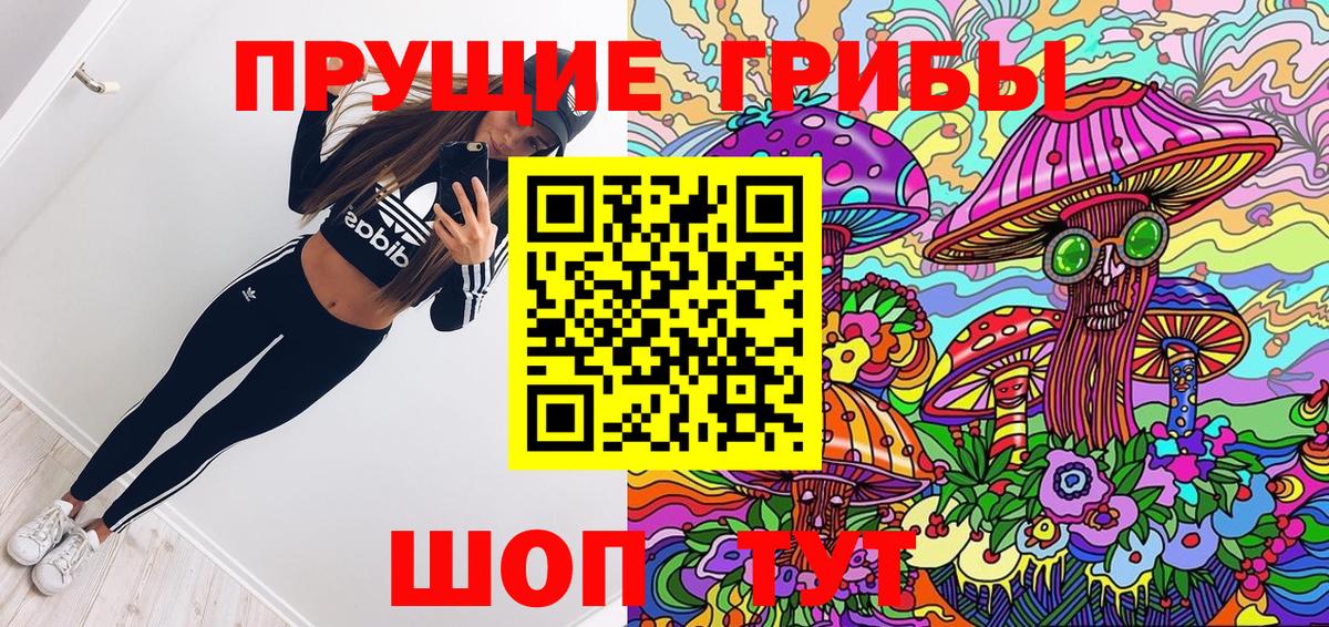 закладка  Вход с VPN  Галлюциногенные грибы Magic Shrooms  Заводоуковск  Псилоцибиновые грибы Psilocybe 